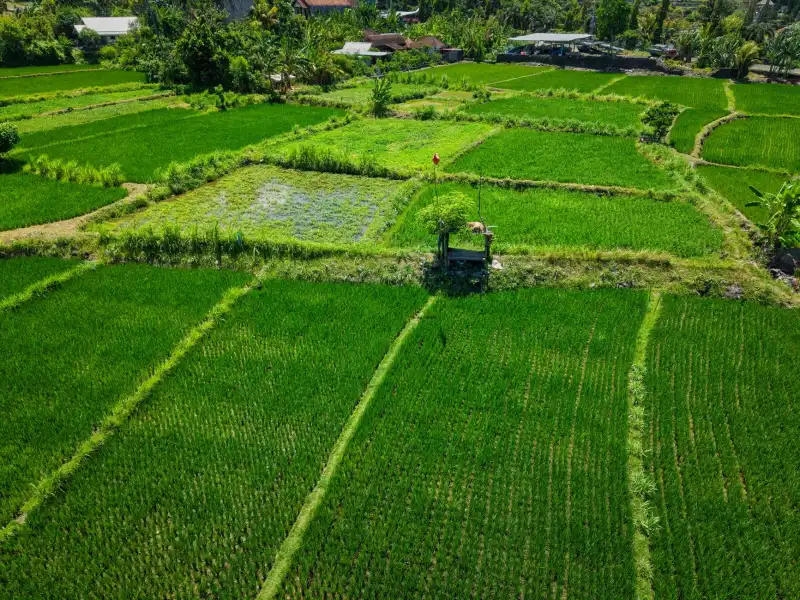 重庆LED显示屏配件市场观察：LED模组与单元板选型趋势分析